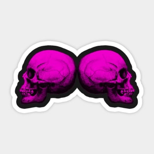 Skull Protector X2 PINK Sticker